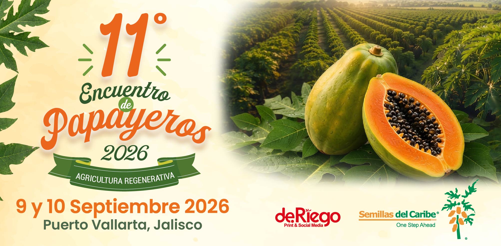 Papayeros2026
